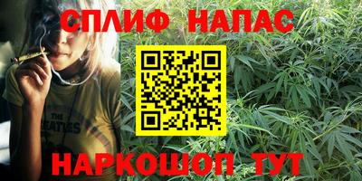 a pvp Гай